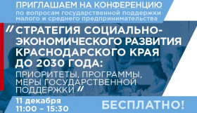 Конференция «Стратегия социально-экономического развития Краснодарско-го края до 2030 года: приоритеты, программы, меры государственной под-держки»